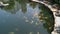 Artificial pond with fish in a park recreation area. Hong Kong, China