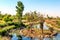 Artificial pool with stones, flowers and trees in Dubai safari park