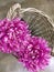 Artificial purple chrysanthemum in woven basket