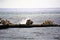 The artificial reef construction goes on for hours as the bullbozer carefully picks up the boulders to deposit them overboard