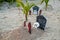 Artificial scary graveyard decoration on the beach during Halloween