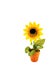 Artificial sunflower