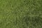 Artificial turf