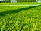 Artificial turf football pitch with white line outside vertically