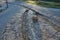 Artificial water cascade stone profile of the stream as a summer playground in the park. dam, sluice, water wheel of the mill can