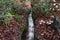 Artificial watercourse gutter in a stone bed in a park