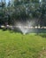 Artificial watering the lawn. Rainbow, drops of water