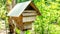 Artificial wooden house of stingless bee / Trigona sp