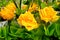 Artificial yellow rose bouquet