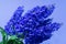 Artificially made branch of blue lilac