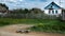 Artillery shells lie on the side of the asphalt road near the village house, in the summer dandelions bloom and the grass turns