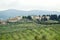 Artimino hills seen from the beautiful villa