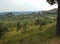 Artimino, Tuscany, Italy, view of Artimino and neighborhood of the town, panorama.