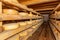 Artisan cheese wheels aging wooden shelves storehouse. Rustic cheese factory