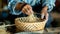 Artisan crafting traditional wicker basket hands