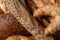 Artisanal bakery products. A close-up reveals an array of freshly baked breads and pastries