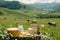 Artisanal cheese and bottle of milk in wicker basket amidst lush Alpine meadow