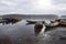 Artisanal fishing boats, in the bay of Puerto Saavedra, Chile