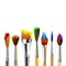 Artist paint brushes isolated on white background