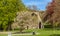 Artist paints spring tree in the park of Monastery Heisterbach