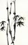 Artistic beautiful bamboo ink brush painting in Chinese traditional art style