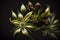 Artistic beautiful star anise flower illustration with black background