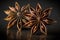 Artistic beautiful star anise illustration with black background