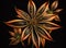 Artistic beautiful star anise illustration with black background