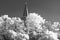 Artistic, black and white infrared photograph of Opole Old Town with historic architecture