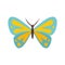 Artistic butterfly icon flat isolated vector