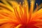 Artistic Closeup Of Single Saffron Stamen. Generative AI