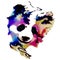 Artistic Colorful Panda Bear on a transparent background