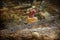 Artistic composition of a fist on a rock after a devastating storm and floods