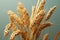 An artistic depiction of the graceful and elegant oats plant