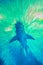 Artistic digital image with predominance of blue and green colors of a shark silhouette taken from below in aquarium