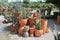 Artistic display of terracotta pots and succulent plants