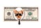 Artistic dollar bill with dog president