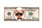 Artistic dollar bill with dog president