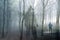 An artistic double exposure of a hooded figure standing in a forest on a spooky, foggy winters day. Looking at a man with a torch