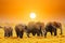 Artistic fantastic african sunset landscape. African elephants in Amboseli National Park. Kenya, Africa at a sunset