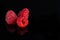 Artistic fresh raspberries reflection on a black reflective surface. Raspberry with black background