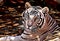 Artistic Illustration Portrait of a Relaxed Large White Tiger