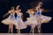 Artistic image of four ballerinas, their synchronized movements forming beautiful blur of white tutus and grace.
