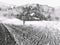 Artistic Impression Of A Country Field In Black and White