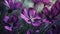 Artistic impression, Purple flowers on an abstract spring canvas