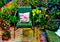 An artistic impressionist painting style of a colourful courtyard garden