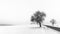Artistic minimalist winter scene in black and white