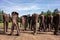 The artistic monument Nierozpoznani Unrecognized of the artist Magdalena Abakanowicz in Cytadela Park as a memorial of WWII