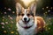 Artistic portrayal oil painting style rainbow corgi dog illustration