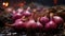 Artistic recreation of a still life of red onions with drops water in the floor